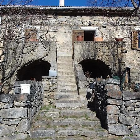 Chambre D'Hote Maison De Caractere Calacuccia Eksteriør bilde